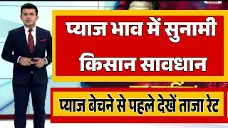 प्याज के भाव में बड़ा बदलाव /अचानक आई तेजी onion price today प्याज रेट onion