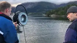 Kvinnherad, Norway (Skorpo, Uskedal, Folgefonna) - September 2018