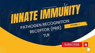 Innate Immunity in Hindi| Lec-1| Pathogen recognition receptor| TLR | CSIR | GATE
