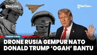 Trump Ciut! Wilayah NATO - Polandia Diterobos Drone Rusia