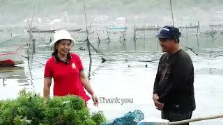 upskill study Classroom | Field Lecture Seaweed & Seagrass Farm in Nusa Lembongan, Bali