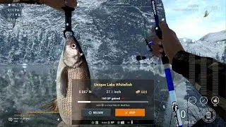 FishingPlanet- Unique Lake Whitefish