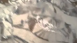 Rafa&euml;l Rozendaal breaking mirrors in Arnsberg