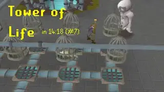 (2015) Tower of Life in 14:18 (#7)
