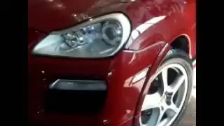 FenixProService Nisan крамика на лобовом.