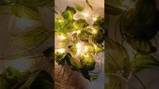 🌙 Is fairy light se room ban jaye dreamy ✨.    #shorts #viral #light #fairylights