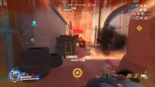 godhog