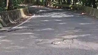 Carr. 155 km573 Bo. Pugnado Adentro Vega Baja