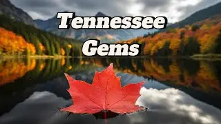 Tennessee Gems: Top 30 Best Places to Visit in Tennessee (Ultimate Travel Guide) | Expedia