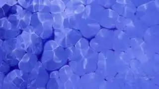 Dynamic Liquid Flow Patterns Meditation