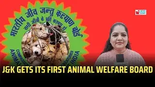 J&K gets its first Animal Welfare Board | JK News Today