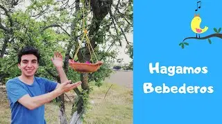 &iexcl;Salvemos a las aves! | Carlos Poblette