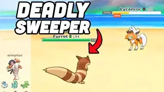 Tidy Up Furret is a THREAT| Random Battles to the Top: Pokemon Showdown | Episode 9