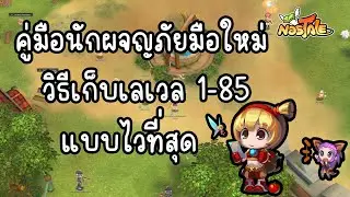 Nostale : วิธีเก็บเลเวล 1 - 99(+90) Ep.1