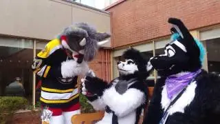 Mosfet being...Mosfet at Anthro New England 2017
