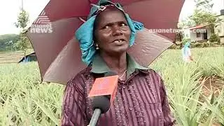 Pala By Poll | Pala Express | Election Special Programme
