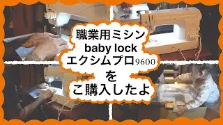 職業用ミシンを購入したよ。#エクシムプロ9600