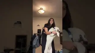 My dog wasn’t a fan of this… #shorts