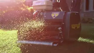 California Trimmer | The Catalyst Collection