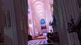 #notredame #renovation #belle #paris #notredamedeparis #eternal