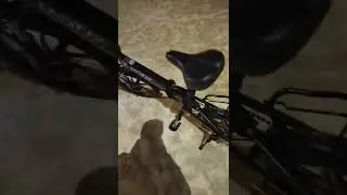 avis acheteur Laotie px5 ou samebike 20LVXD30