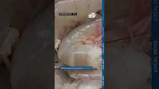 Shrimp Scandal: 90% of local restaurants use foreign shrimp