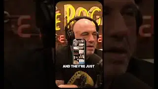 Stop Doing This and Life Gets Better | Joe Rogan&rsquo;s Wake-Up Call for Your Mindset