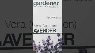 #cold #stratification  #lavender  #gardening  #winter