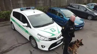 Addestramento Unit&agrave; Cinofila