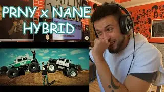 PRNY x NANE - HYBRID || Classy's Reaction
