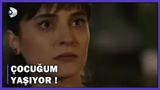 Maya Çocuğunun Yaşadığını ÖĞRENDİ! - Bodrum Masalı 28.Bölüm