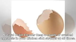 Reuse Eggshells &ndash; Things to Do with Egg Shells - Eggs