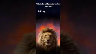 Shalom Israel APTTMH (Food)