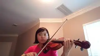 GOD IS A WOMAN  - Ariana Grande Violin Cover