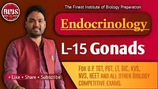 Endocrinology | L-15 | Gonads ( Introduction and their hormones) Useful for LT, GIC, TGT, PGT, KVS 