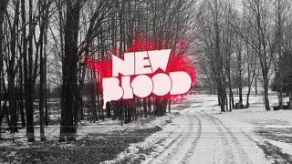 PAX South 2016 Dave Oshry, Co-Founder of New Blood Studios, Interview