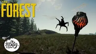 Taking a leap - MrBuzZz here