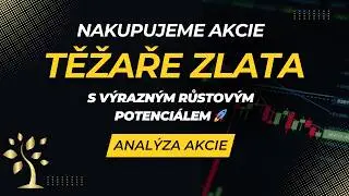 Nakupujeme těžaře zlata s vysok&yacute;m potenci&aacute;lem růstu..