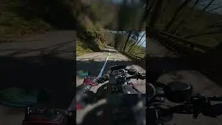 Triumph Street Triple 675R - in between trees