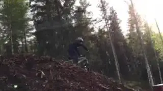 Alfta Bike park