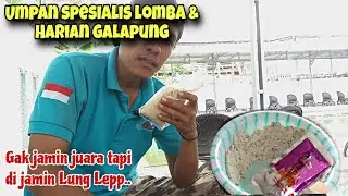DIJAMIN..Lunglep gak pakai lama umpan putih paling jitu mancing ikan mas lomba dan essen dua sedjoli