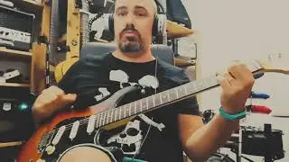 Mastiles Fender Palo Rosa vs Arce
