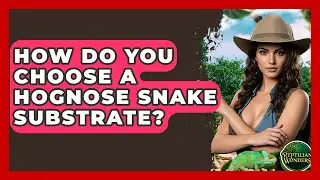 How Do You Choose A Hognose Snake Substrate? - Reptilian Wonders