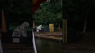 Pintu Masuk Nusa Larang Situ Panjalu