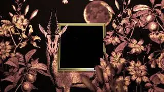 Nightology Rose Harmony