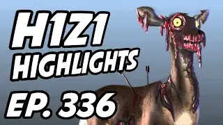 H1Z1 Daily Highlights | Ep. 336 | Jxydon, ErycTriceps, sloth, Verquill, Sweetdreams, hairyfrogbat