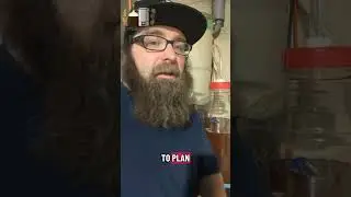 German Festbier Brewday | Fermenting lager at ale temps