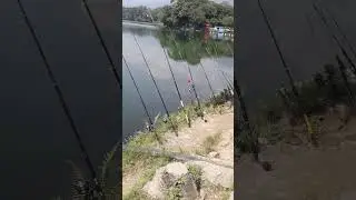fishing #pokhara leak side||fishingers are enjoying fishing