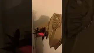 My moving ear dragon puppet '
