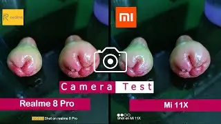 Realme 8 Pro vs Mi 11X | Camera Comparison |Camera Test | InTech |